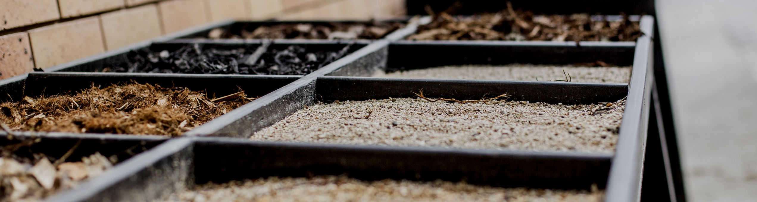Outdoor Gardening